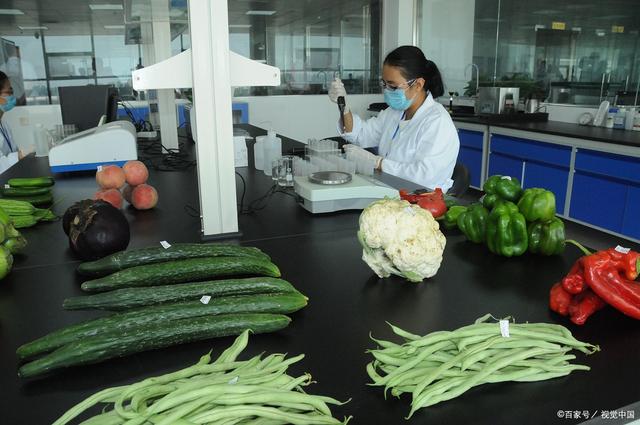 龙泉驿区食品送检如何避免上市延误？从报告周期看送检前五项自查